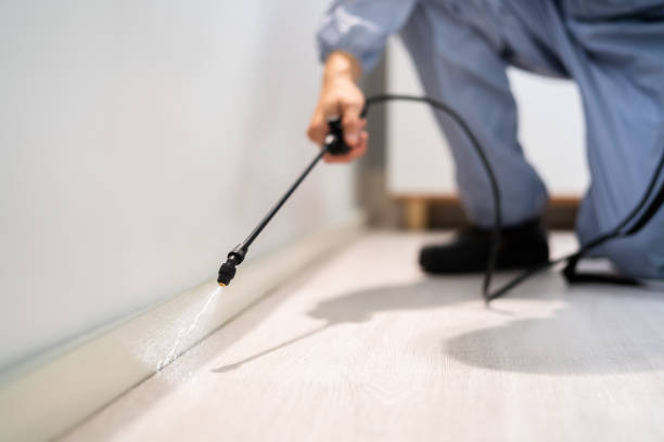 Licensed Mosquito Control service in Eldora, IA - Show Me Pest Control