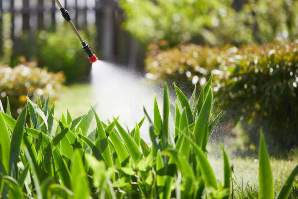 24/7 Emergency Mosquito Control experts in Eldora, IA